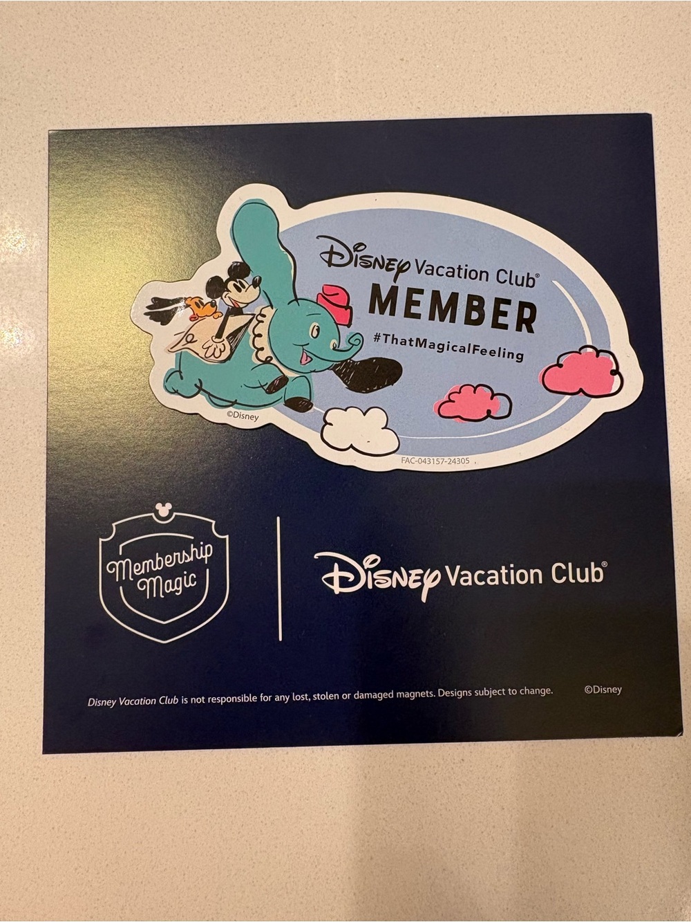 Disney Vacation Club Magnet